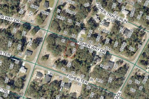 Land in Ocklawaha, Florida № 2214422