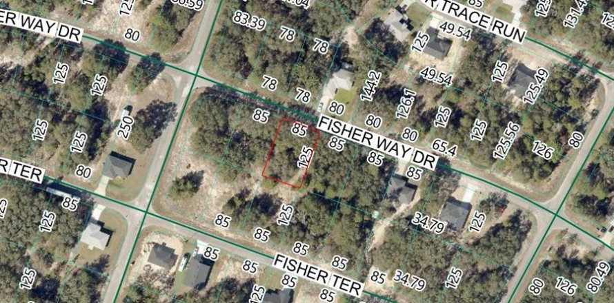 Land in Ocklawaha, Florida № 2214422