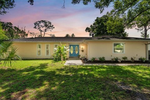 House in Lakeland, Florida 4 bedrooms, 288.28 sq.m. № 2231930 - photo 3