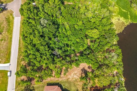 Купить земельный участок в Ривервью, Флорида № 2234834 - фото 3