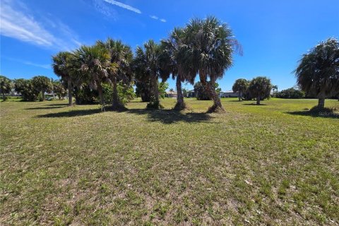 Terrain à vendre à Punta Gorda, Floride № 2233129 - photo 5