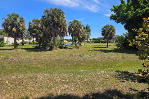 Terrain à vendre à Punta Gorda, Floride № 2233129 - photo 6