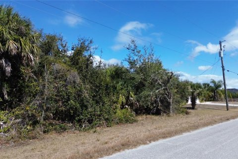 Land in Port Charlotte, Florida № 2162010 - photo 10