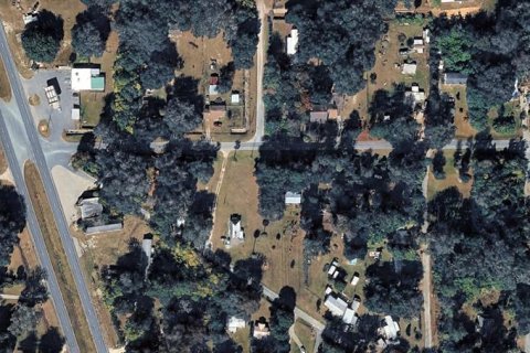Land in Reddick, Florida № 2222524 - photo 2