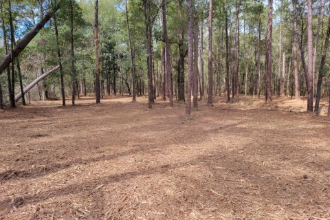 Land in Laurel Hill, Florida № 562681 - photo 1