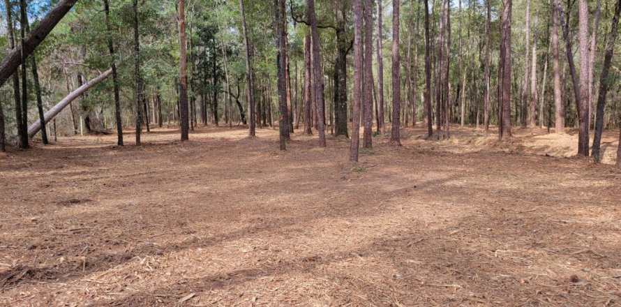 Land in Laurel Hill, Florida № 562681