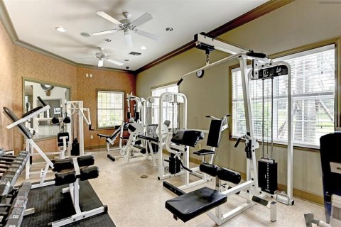 Condominio en alquiler en Sarasota, Florida, 1 dormitorio, 76.37 m2 № 2116299 - foto 14