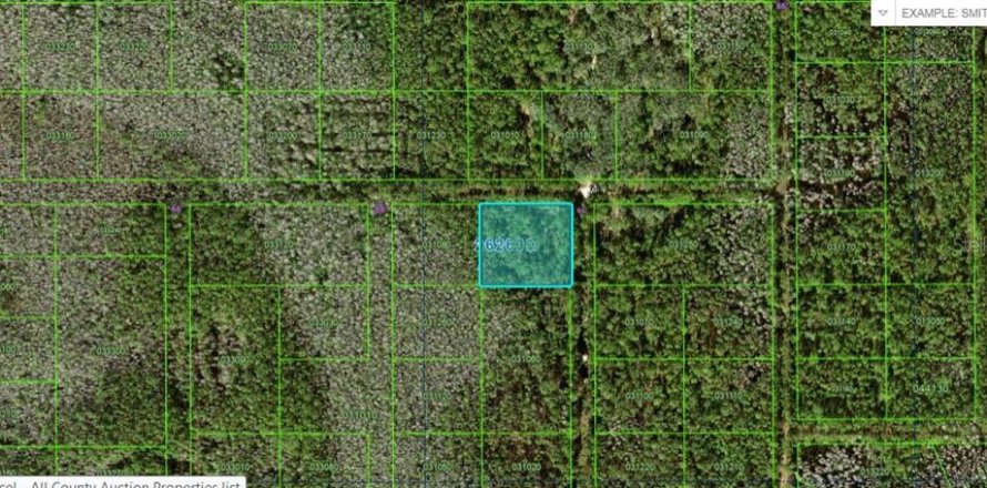 Terreno en Polk City, Florida № 2160727