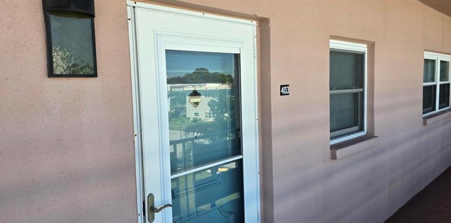 Condo à Saint Petersburg, Floride, 1 chambre  № 2419255