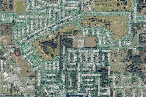 Immobilier commercial à louer à Summerfield, Floride: 139.35 m2 № 2135674 - photo 29