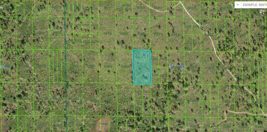 Land in Lake Wales, Florida № 2162267