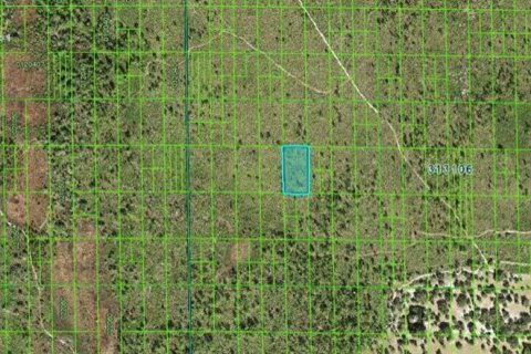 Land in Lake Wales, Florida № 2162267 - photo 3