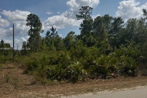 Land in Lehigh Acres, Florida № 2158654 - photo 4