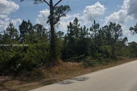 Land in Lehigh Acres, Florida № 2158654 - photo 2