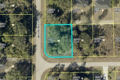 Land in Lehigh Acres, Florida № 2360423