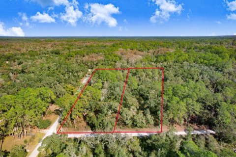 Terreno en venta en Webster, Florida № 2096355 - foto 2
