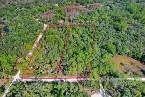 Terreno en venta en Webster, Florida № 2096355 - foto 12