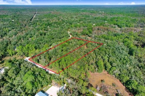 Terreno en venta en Webster, Florida № 2096355 - foto 10