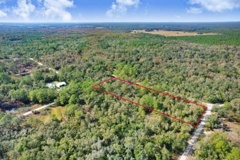 Terreno en venta en Webster, Florida № 2096355 - foto 3