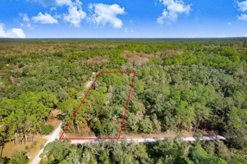 Terreno en Webster, Florida № 2096355