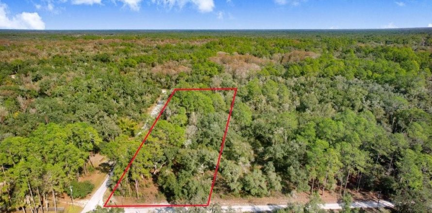 Terreno en Webster, Florida № 2096355