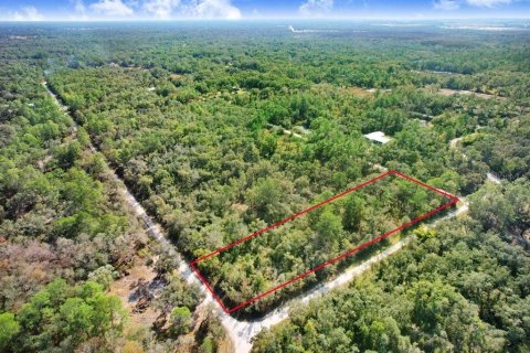Terreno en venta en Webster, Florida № 2096355 - foto 5
