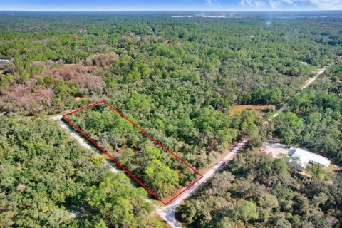 Terreno en venta en Webster, Florida № 2096355 - foto 7