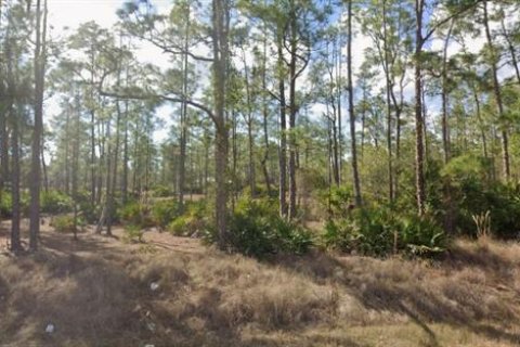 Land in Lehigh Acres, Florida № 2218294 - photo 2