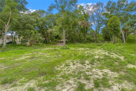 Land in Tampa, Florida № 2369023