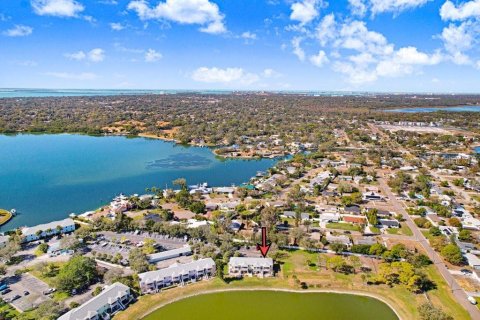 Condo in Saint Petersburg, Florida, 1 bedroom  № 2218306 - photo 24