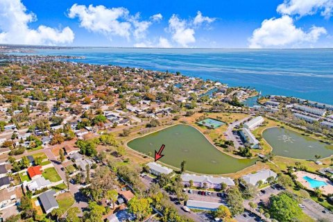 Condo in Saint Petersburg, Florida, 1 bedroom  № 2218306 - photo 28
