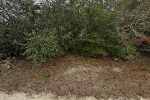 Land in Weeki Wachee, Florida № 2390981 - photo 2
