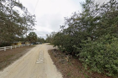 Land in Weeki Wachee, Florida № 2390981 - photo 3