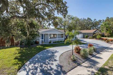Villa ou maison à vendre à Safety Harbor, Floride: 5 chambres, 208.66 m2 № 1845263 - photo 29