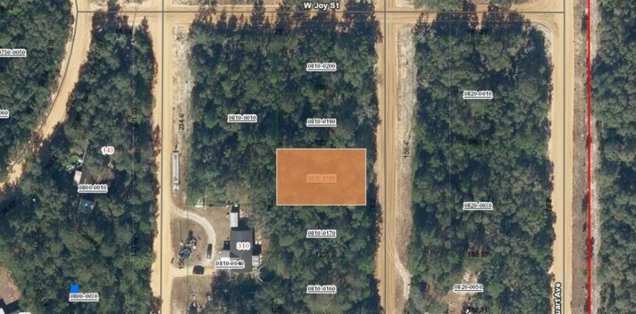 Land in Interlachen, Florida № 2161262