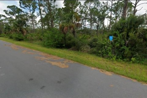 Land in Port Charlotte, Florida № 2210558 - photo 2