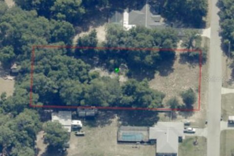 Terreno en venta en Inverness, Florida № 1553684 - foto 13