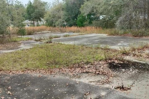 Terreno en venta en Inverness, Florida № 1553684 - foto 5