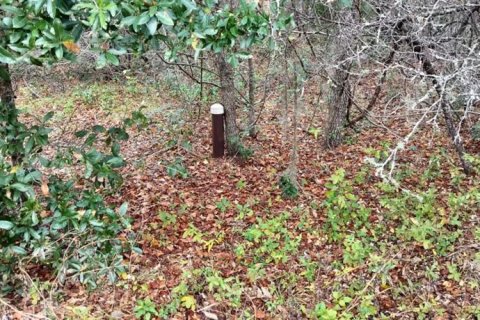Terreno en venta en Inverness, Florida № 1553684 - foto 3