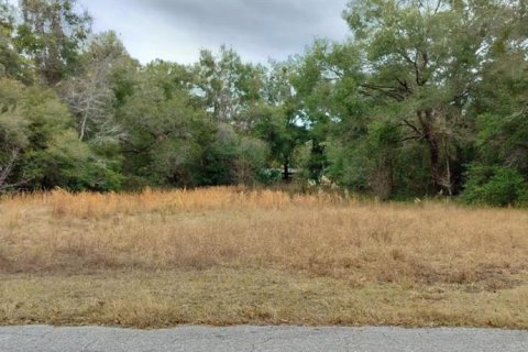 Terreno en venta en Inverness, Florida № 1553684 - foto 1
