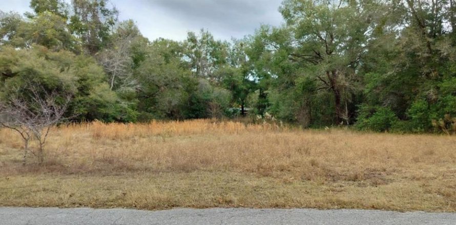 Terreno en Inverness, Florida № 1553684