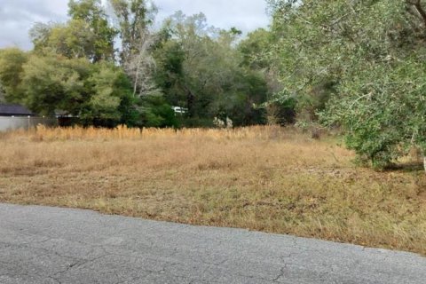 Terreno en venta en Inverness, Florida № 1553684 - foto 8