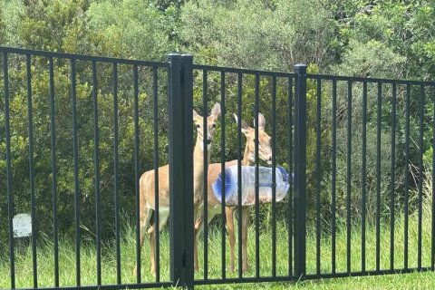Casa en venta en Orlando, Florida, 4 dormitorios, 201.97 m2 № 1914598 - foto 26