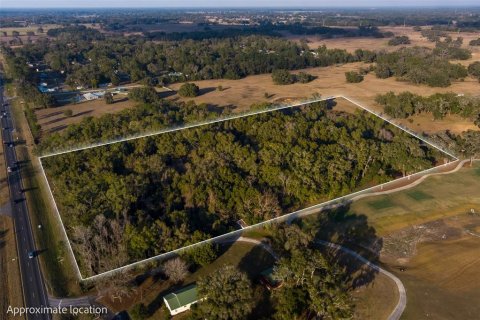 Terrain à vendre à Ocala, Floride № 1525913 - photo 5