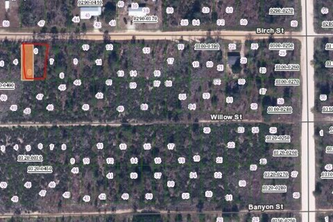 Land in Interlachen, Florida № 2159474 - photo 2