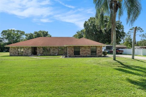 House in Tampa, Florida 4 bedrooms, 317.54 sq.m. № 1816758 - photo 1