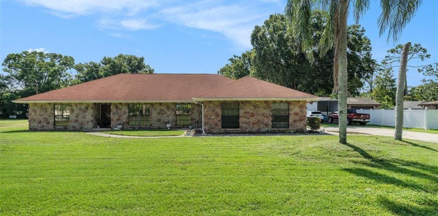 House in Tampa, Florida 4 bedrooms, 317.54 sq.m. № 1816758