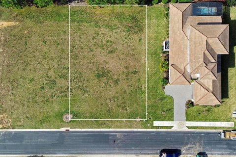 Terreno en venta en Lake Alfred, Florida № 1398548 - foto 3