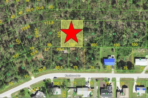 Land in Punta Gorda, Florida № 2163972