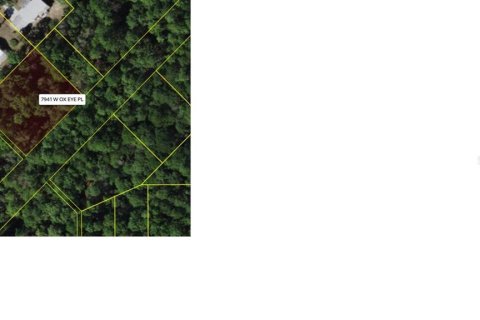 Terreno en venta en Homosassa, Florida № 2159552 - foto 3